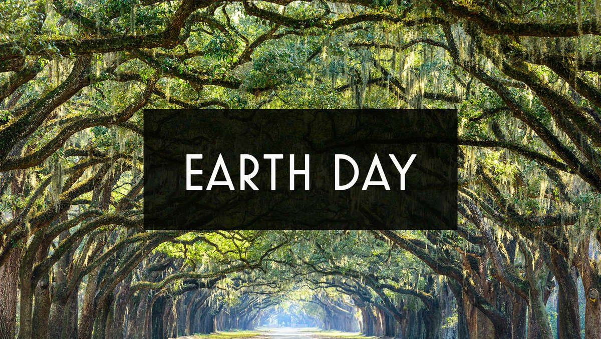 Earth Day image of over hanging trees