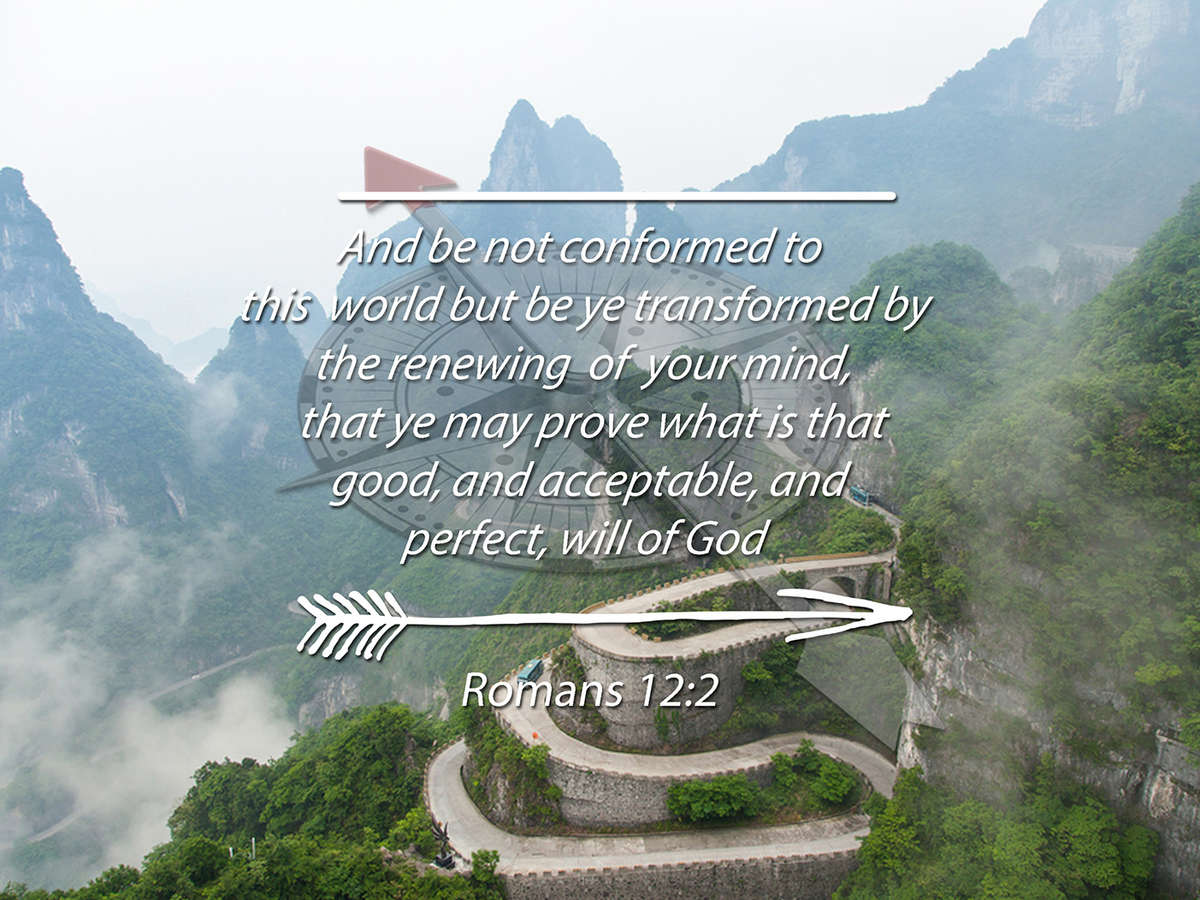 Romans 122 6 KJV Do not conform to the World Bible Verse Wall Art Ca