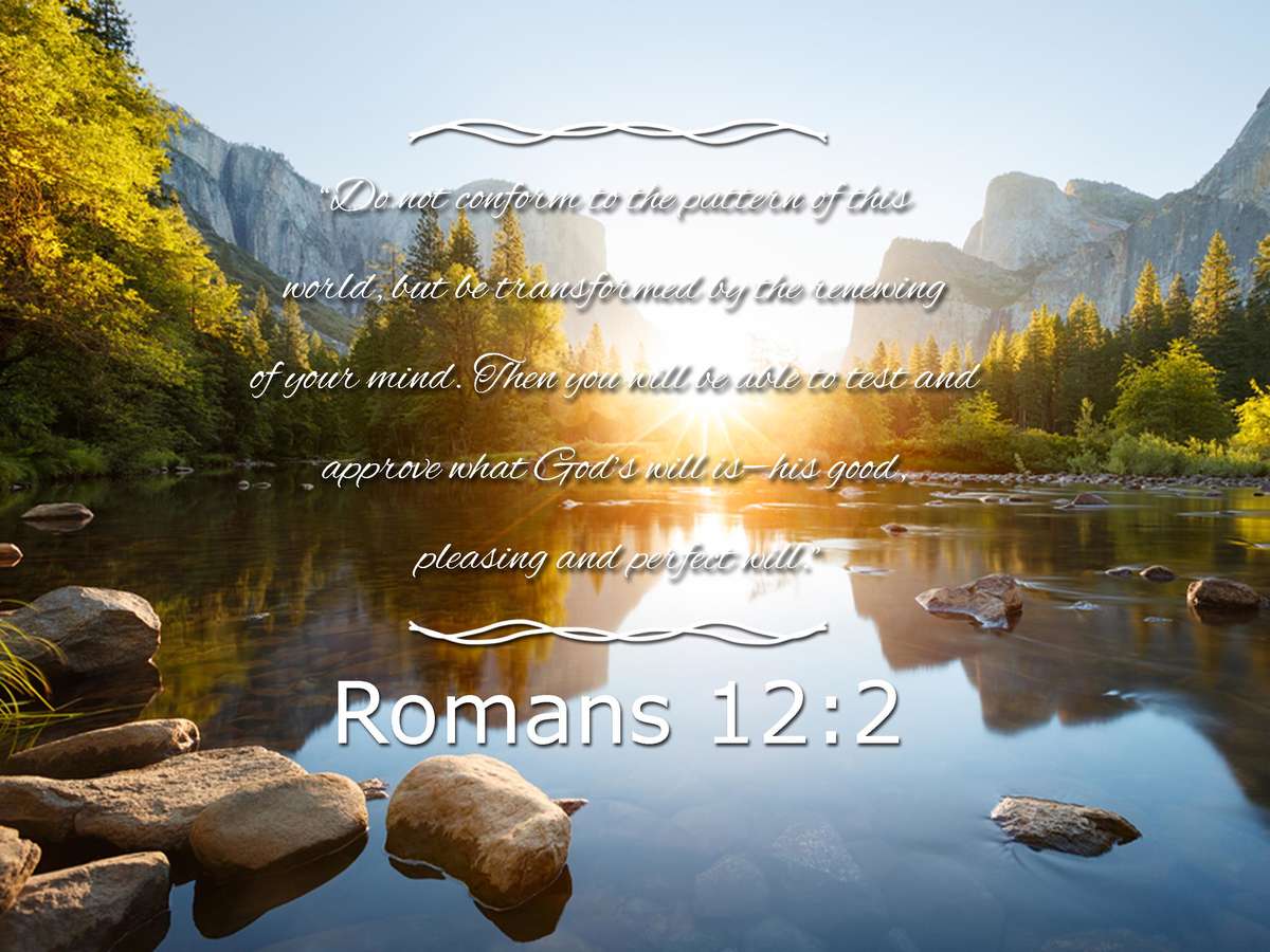 Romans 12 2 8 NIV Do Not Conform To The Pattern Bible Verse Wall Art