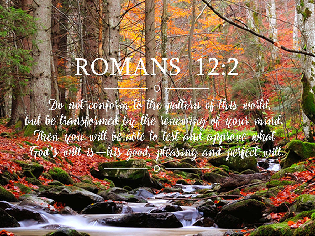 Romans 12:2 #7 NIV Do not conform to the pattern Bible Verse Wall Art