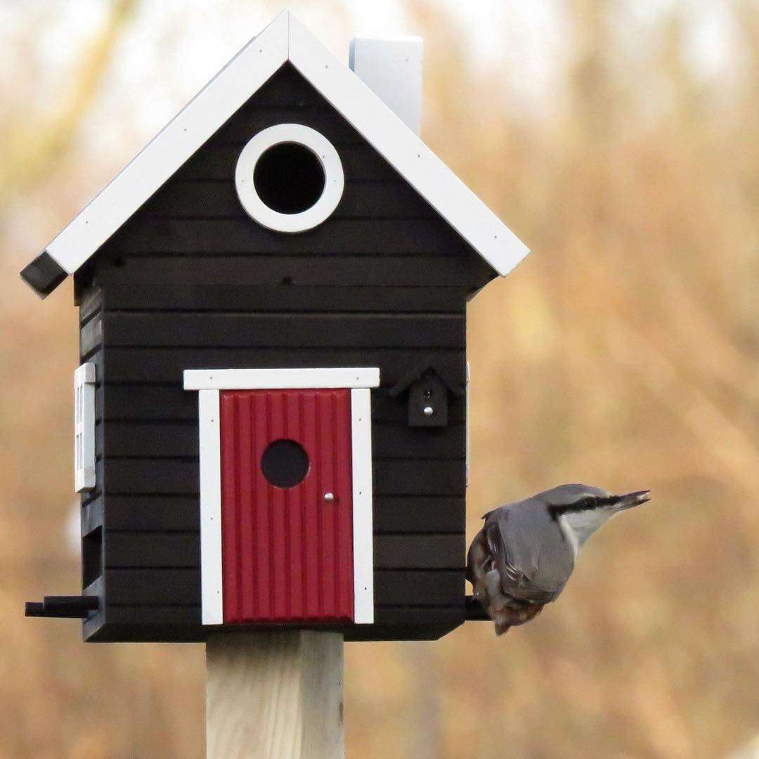 Wildlife Garden Multiholk Designer Bird House + Feeder Black Cottage WG106 Wildlife Garden Multiholk Designer Bird House + Feeder Black Cottage WG106