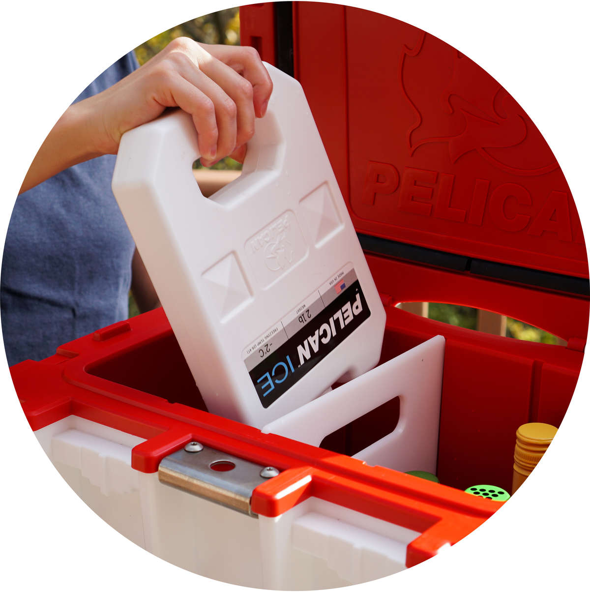 A person placing a 2lb Pelican Ice pack inside a 20QT Elite Cooler  that has a 20 Quart Camp Cutting Board + Cooler Divider inside it.