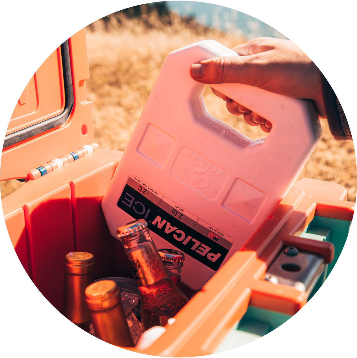 A person putting a 2lb Pelican Ice pack into a 20QT Elite Cooler that is filled with drinks and ice.