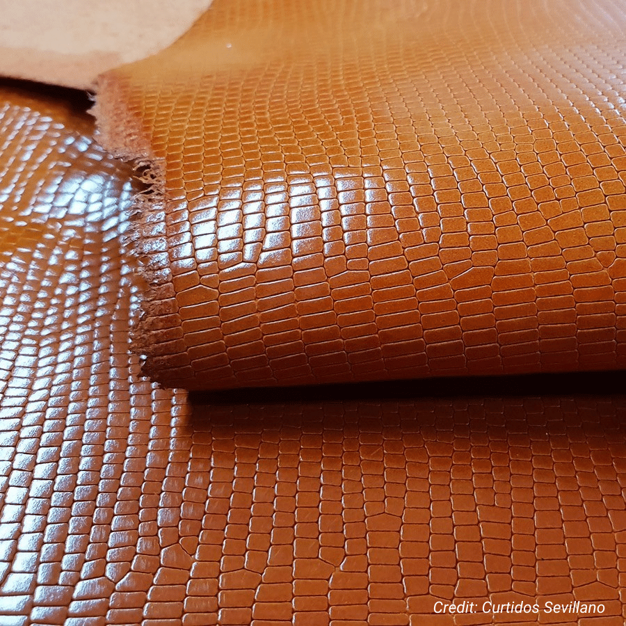 Lizard skin leather texture