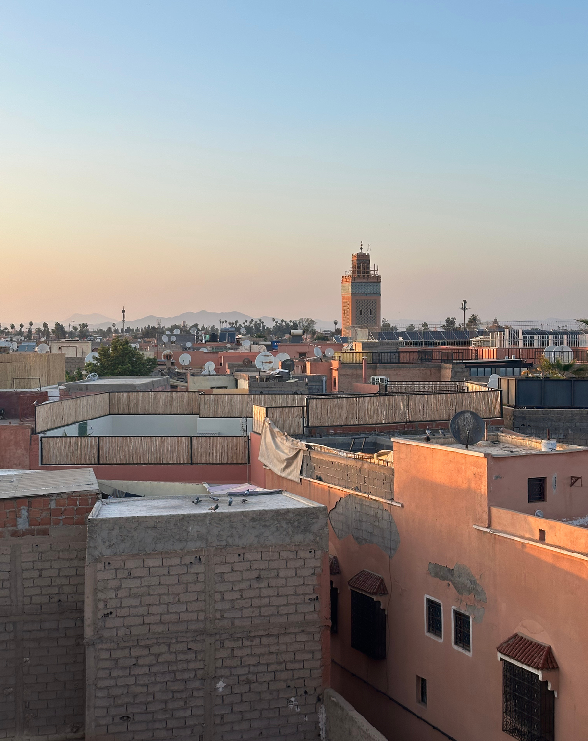 rooftops in marrakech rooftops in marrakech