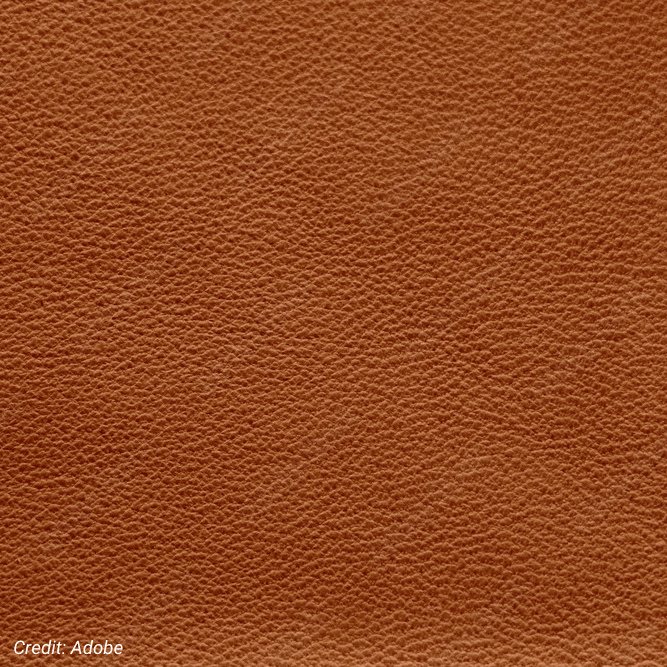 Genuine leather texture