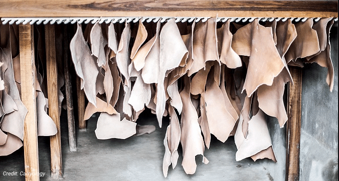 Vegetable tanning leather process