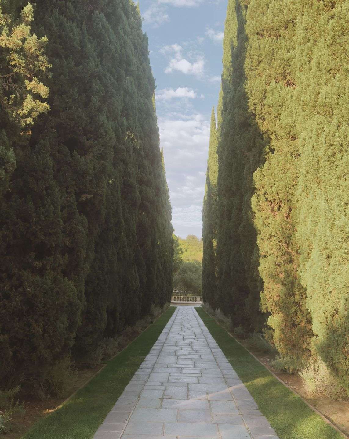 Symmetrical garden pathway lined with tall green cypress trees under a bright sky, captured on iPhone using SANDMARC gear — showcasing depth, perspective, and leading lines in mobile photography.