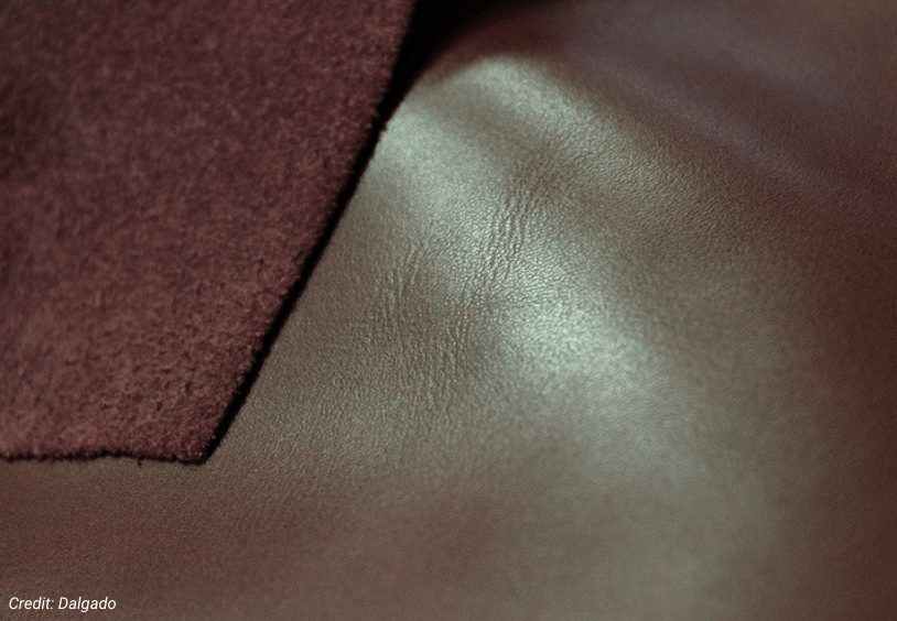 SANDMARC Full Grain Leather Edition