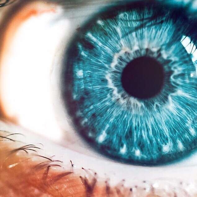 up close picture of a blue eye