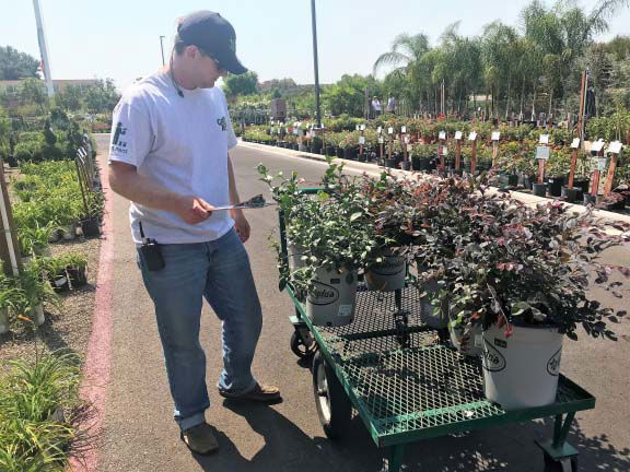 Outdoor Plant Nursery Outdoor Plant Nursery