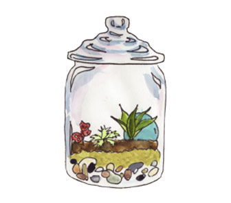 image of a completed terrarium