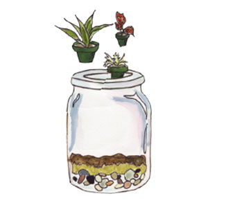 adding plants to a terrarium jar