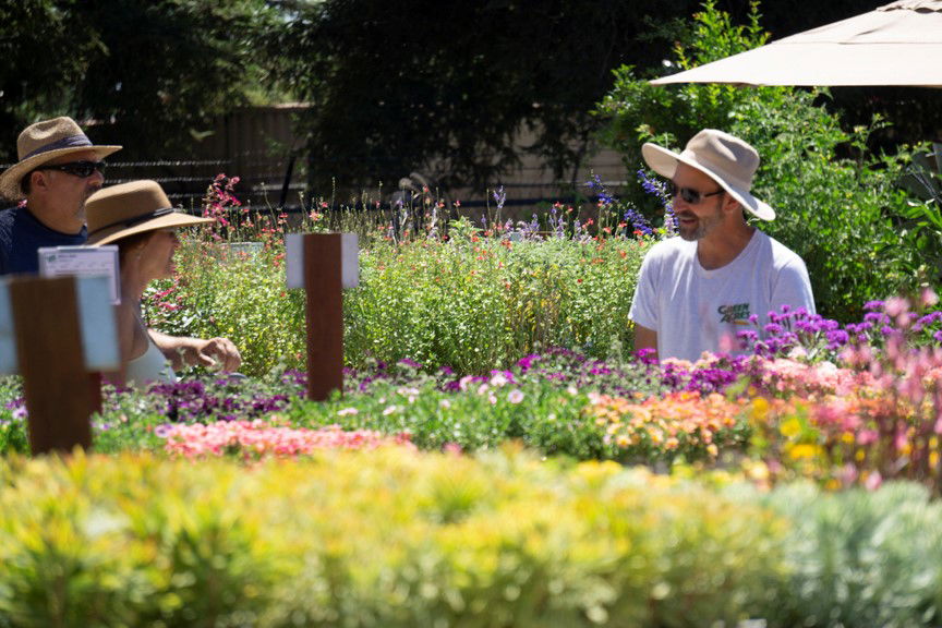 Outdoor Plant Nursery