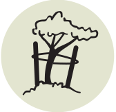 icon showing a tree tied with stakes