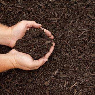 Hands holding mulch