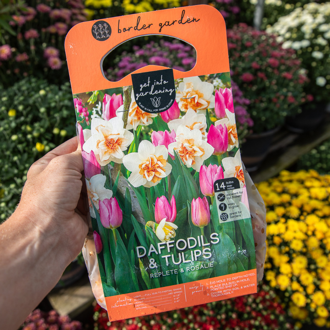 Spring blooming bulbs