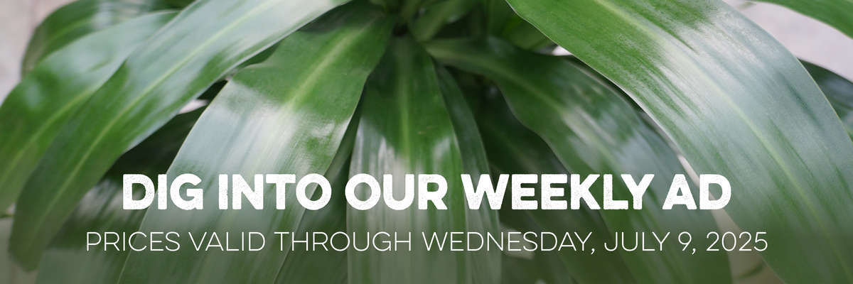 Banner with Houseplants . Text reads "Dig Into Our Weekly Ad, with valid prices through Wednesday, July 9, 2025