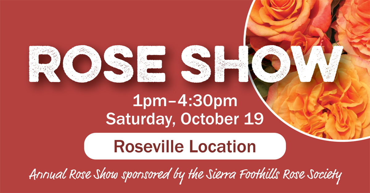 Rose Show: Presented By Sierra Foothills Rose Society October 19 1 PM to 4:30 PM Folsom Location Only