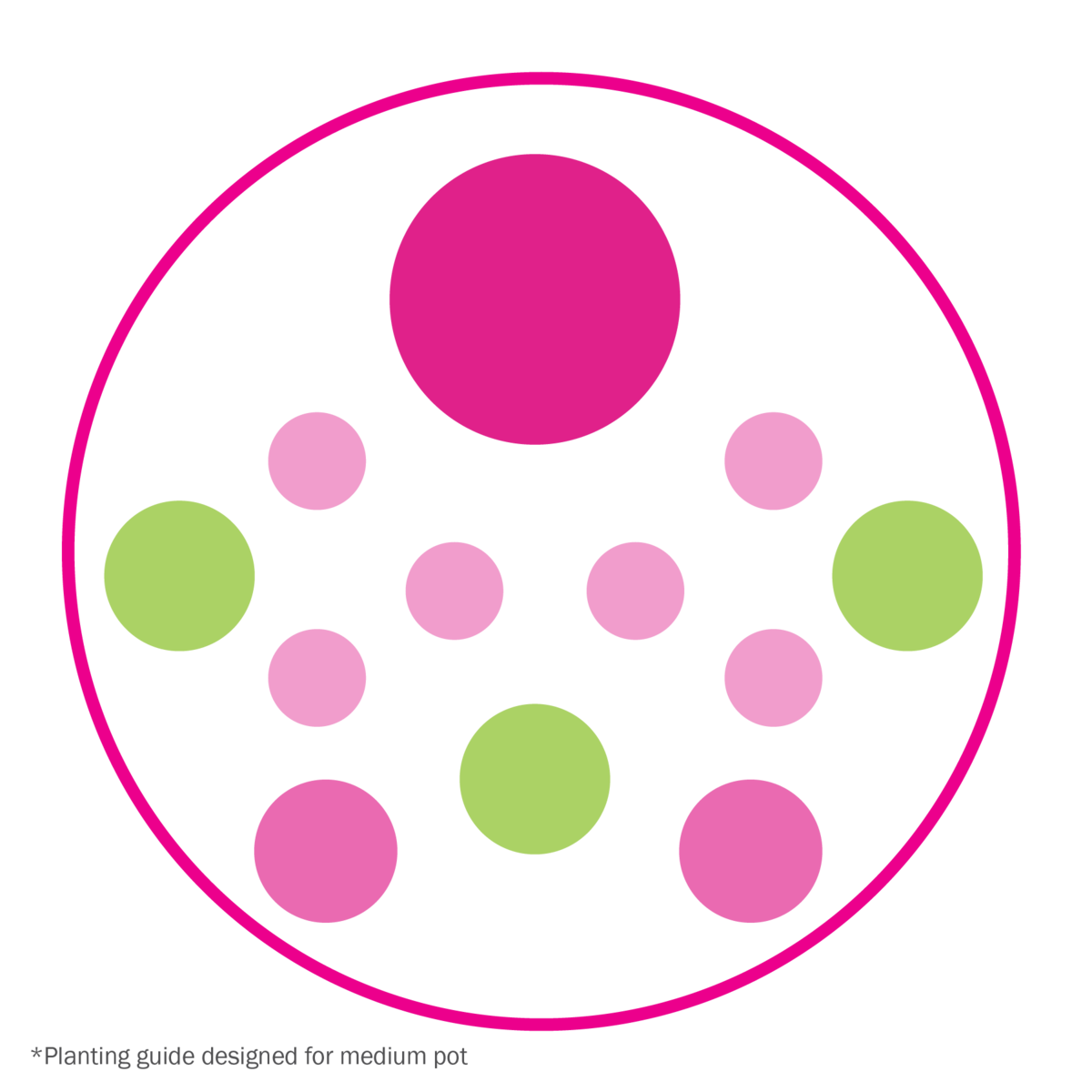 Barbie Pot-up planting diagram