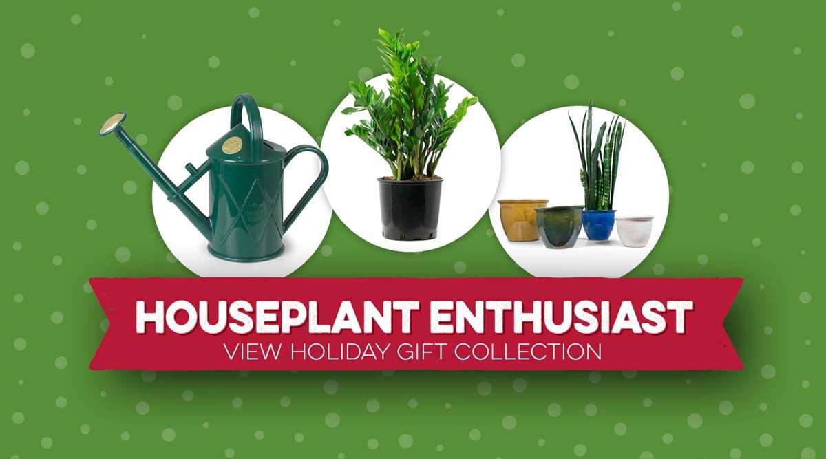 Houseplant Enthusiast View Holiday Gift Collection