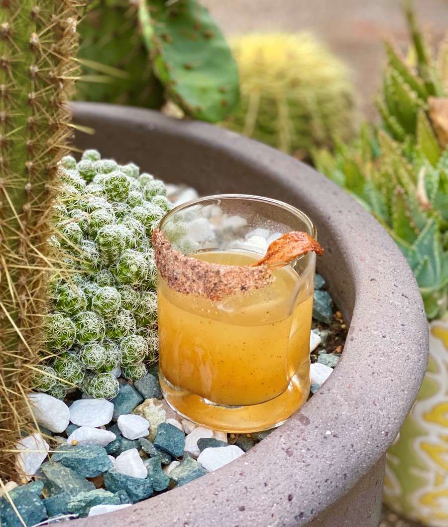 Smoky Agave Cocktail