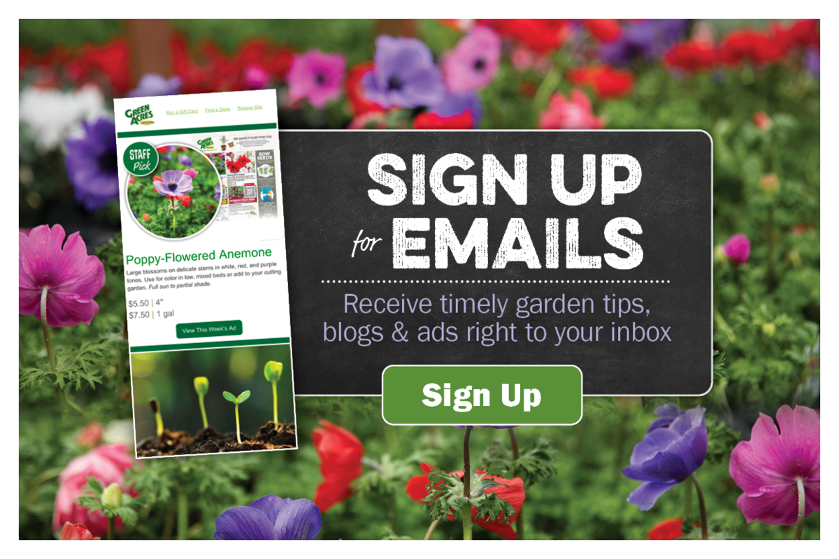 Sign Up for Emails. Receive our weekly ad, timely garden tips, and seasonal blogs, right to your inbox.