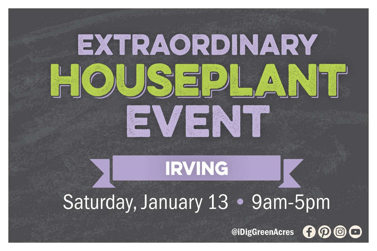 Extraordinary Houseplant Event | Irving on Saturday January 13 from 9am-5pm