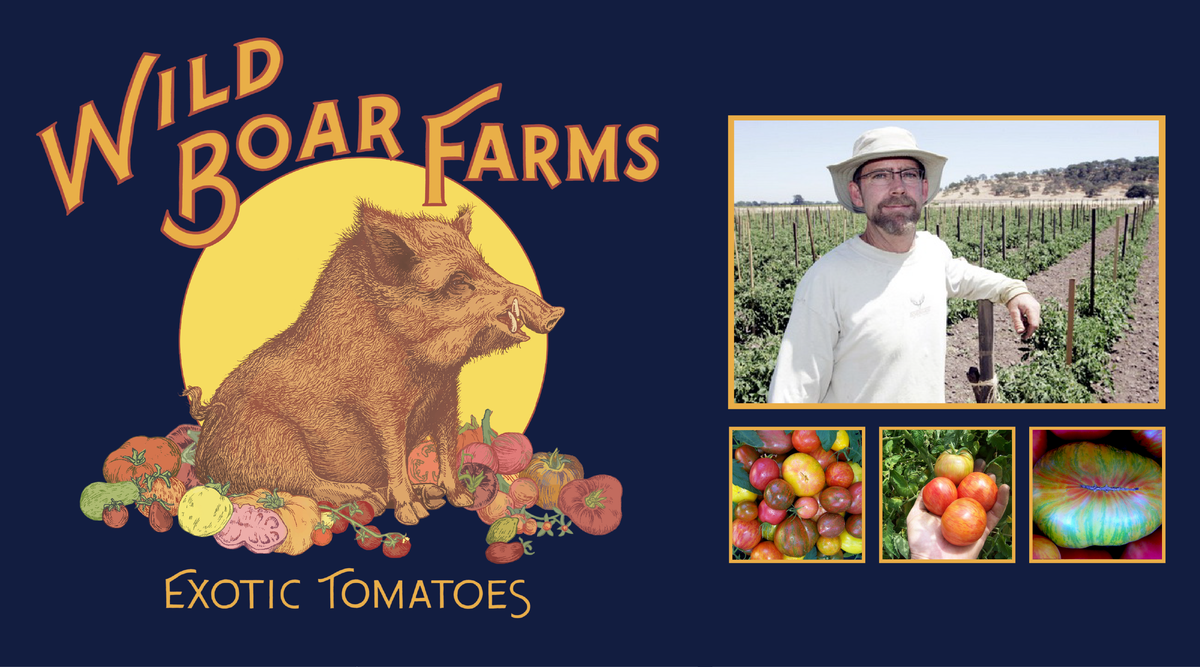 Wild Boar Farms Exotic Tomatoes