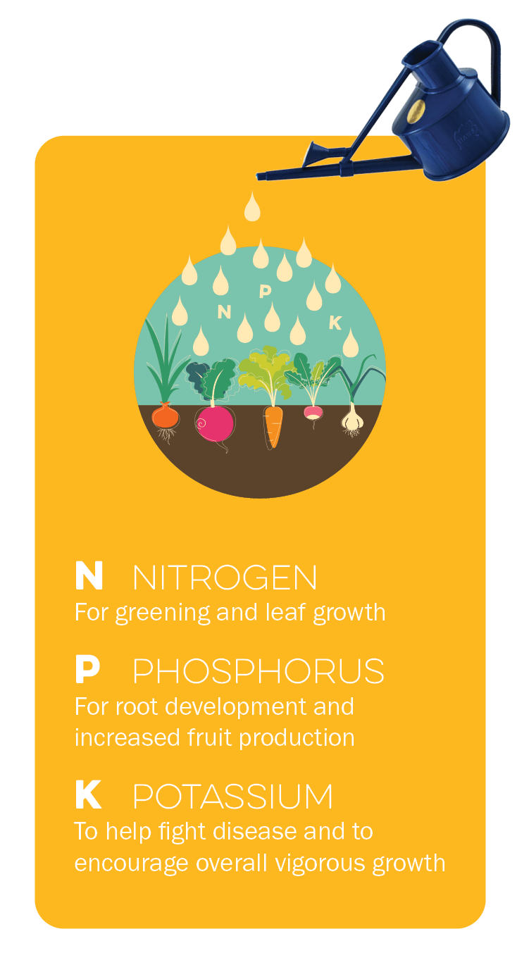 N for Nitrogen is for greening and leaf growth, P for Phophorus is for root development and increased fruit production, K for Potassium to help fight disease and to encourage overall vigorous growth
