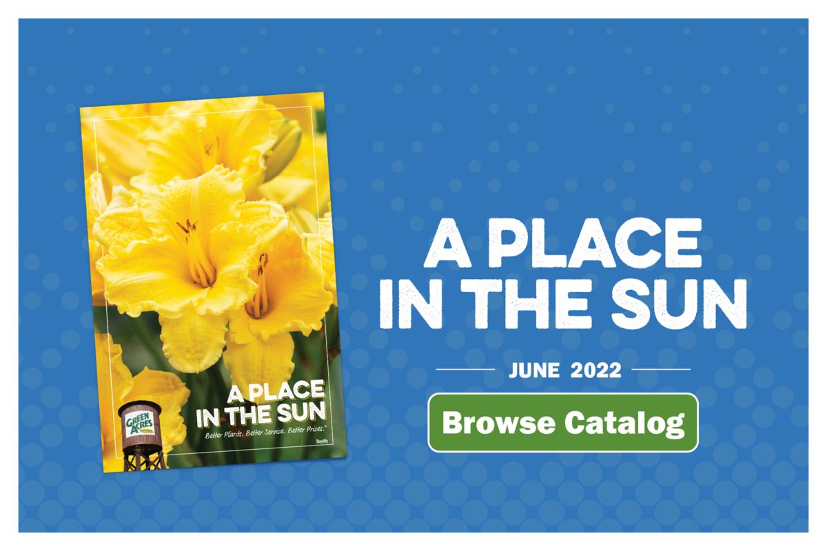 A Place in the Sun - Browse June Catalog
