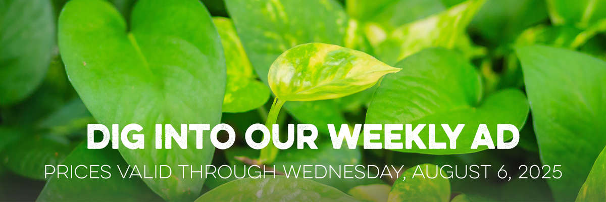 Banner with Houseplants . Text reads "Dig Into Our Weekly Ad, with valid prices through Wednesday, July 9, 2025