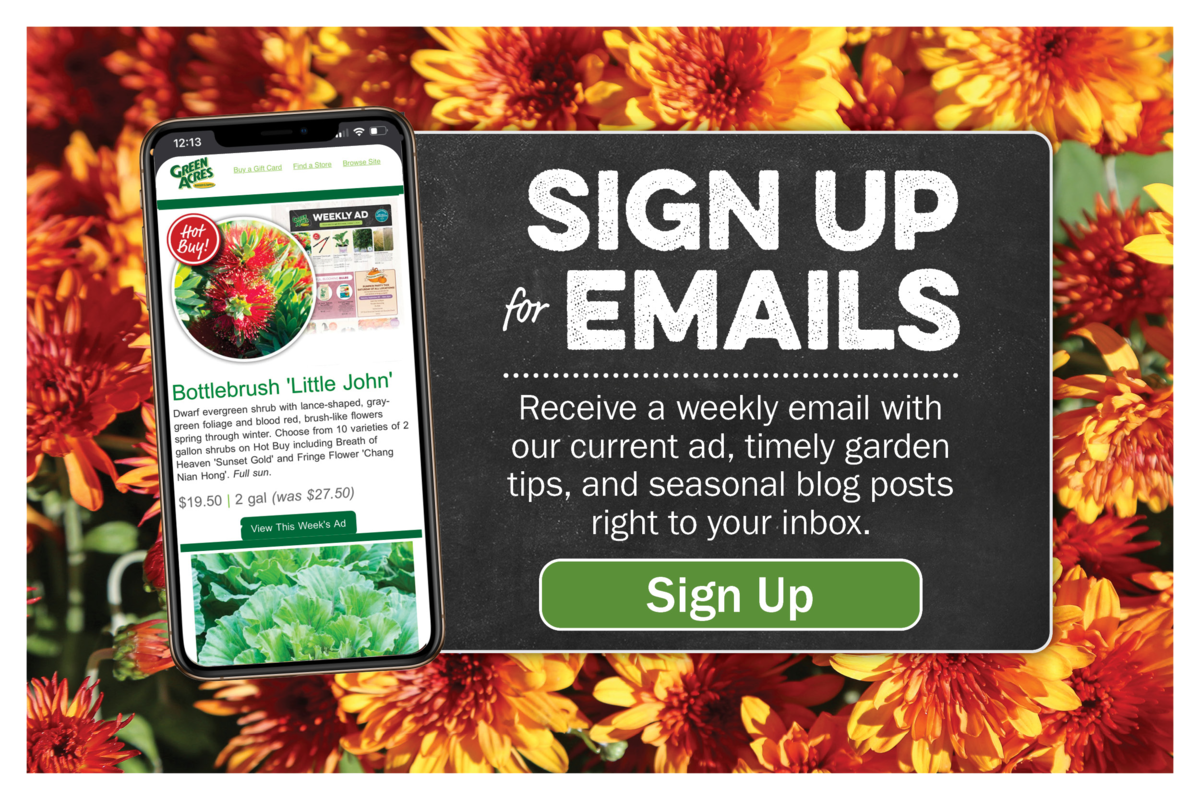 Sign up for our emails. Receive a weekly email with our current ad, timely garden tips, and seasonal blog posts right to your inbox. 