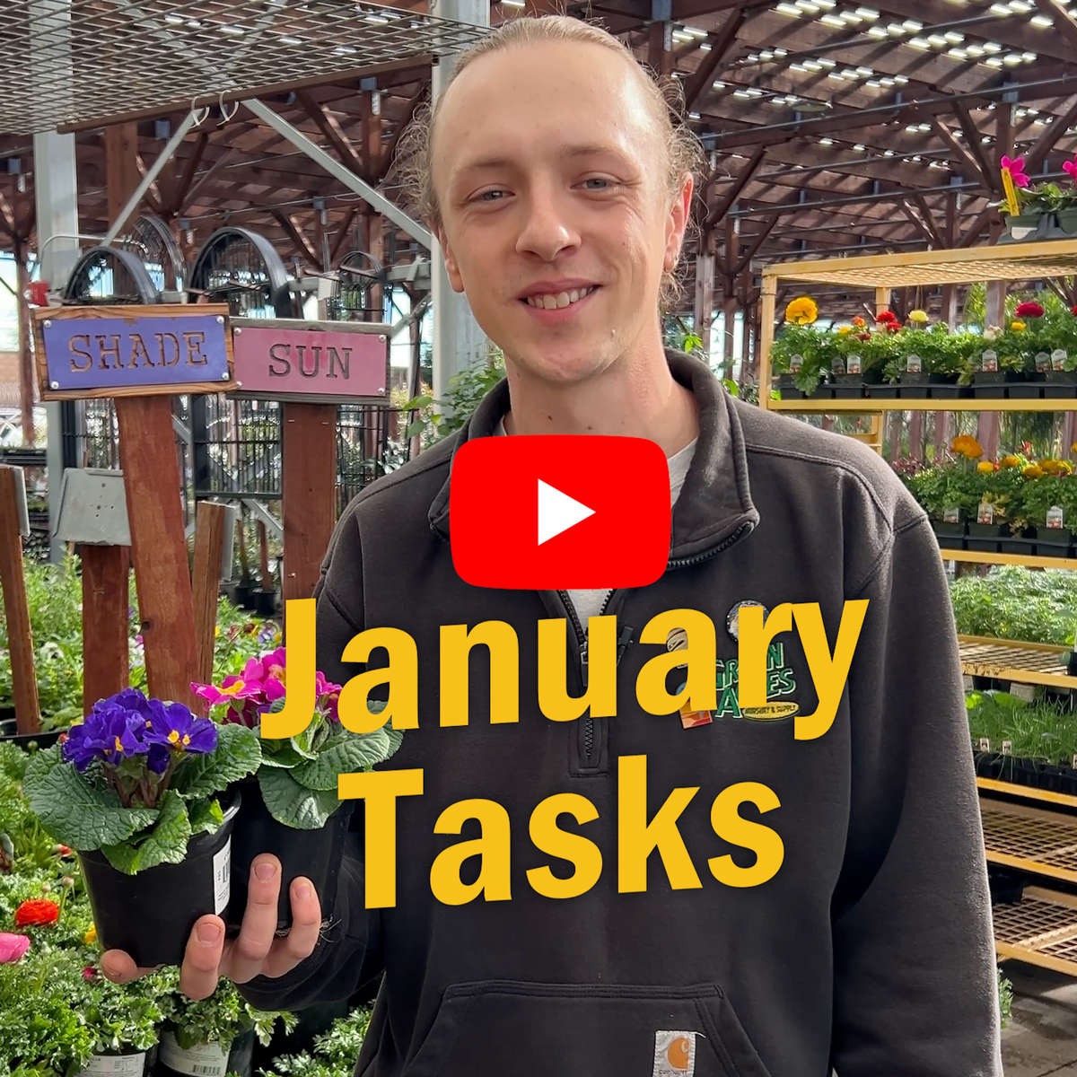 CJ talking about January Tasks