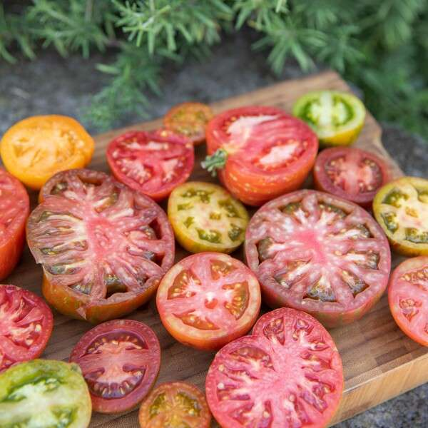 Wild Boar Farms Fresh Tomatoes Sliced on Cutting Board