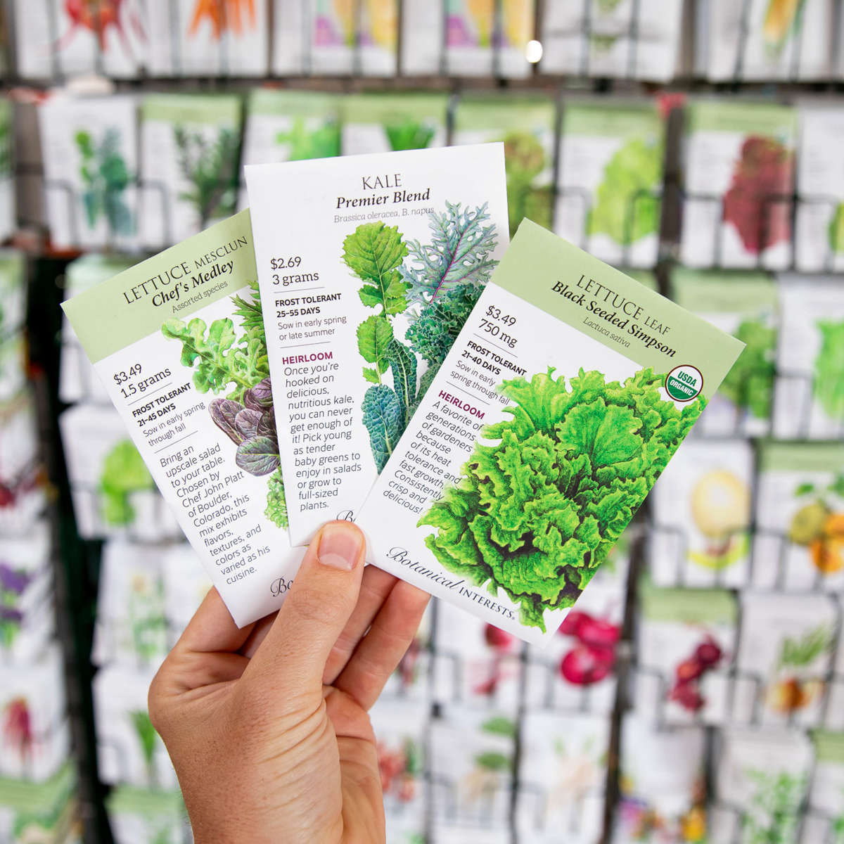 Seed varieties of lettuce, kale, and salad mixes