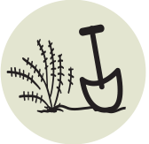 icon showing a shovel digging