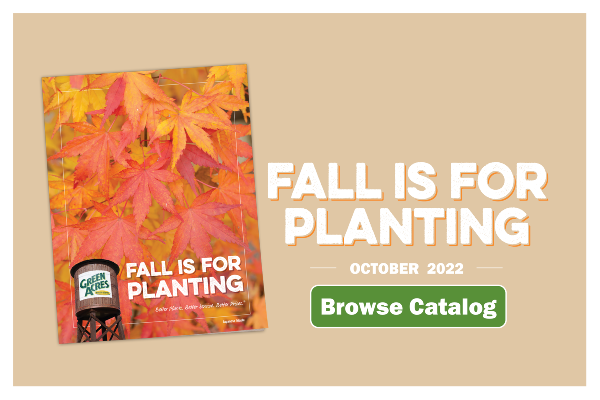 Browse Catalog - Fall is for planting - October 2022