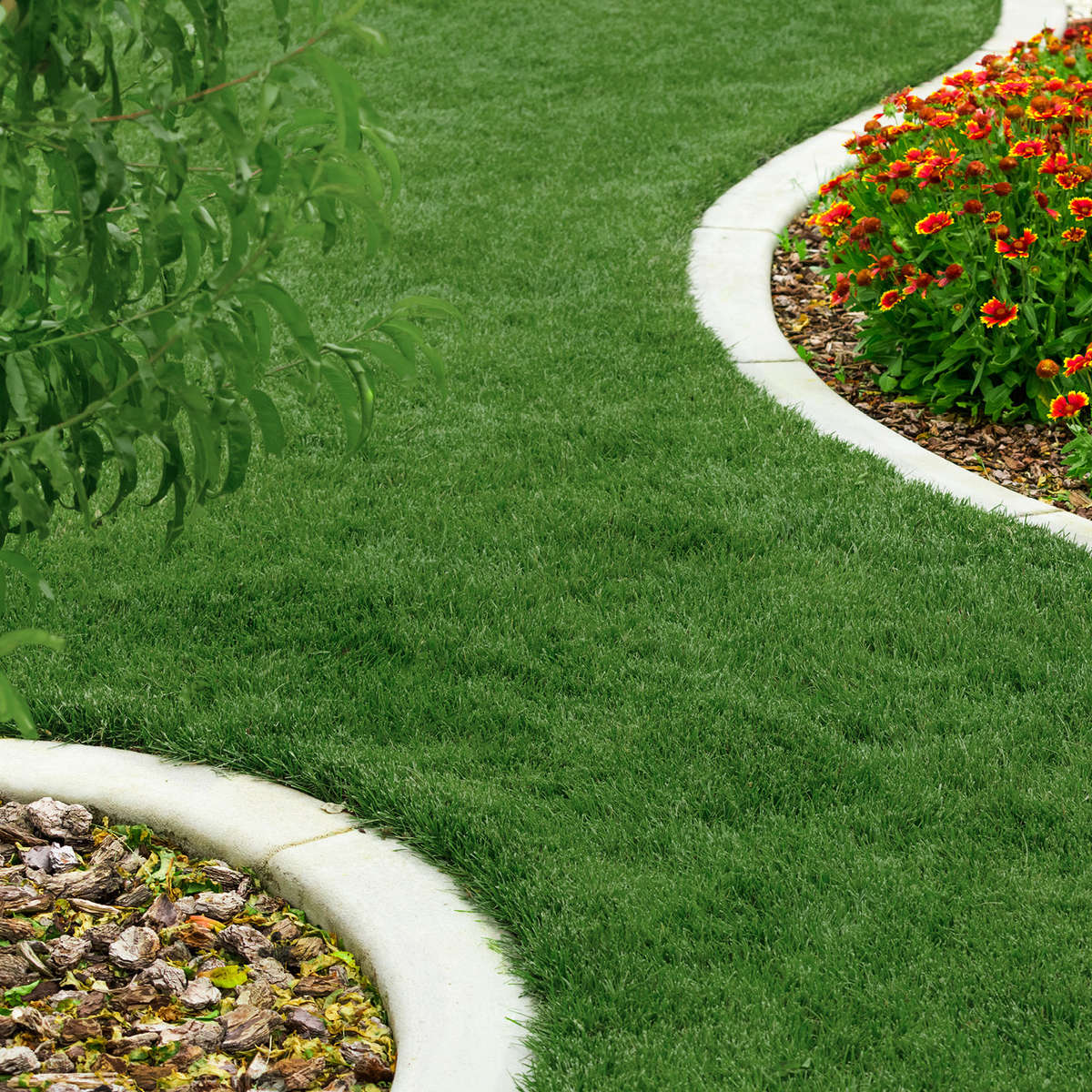 Green, lush lawn