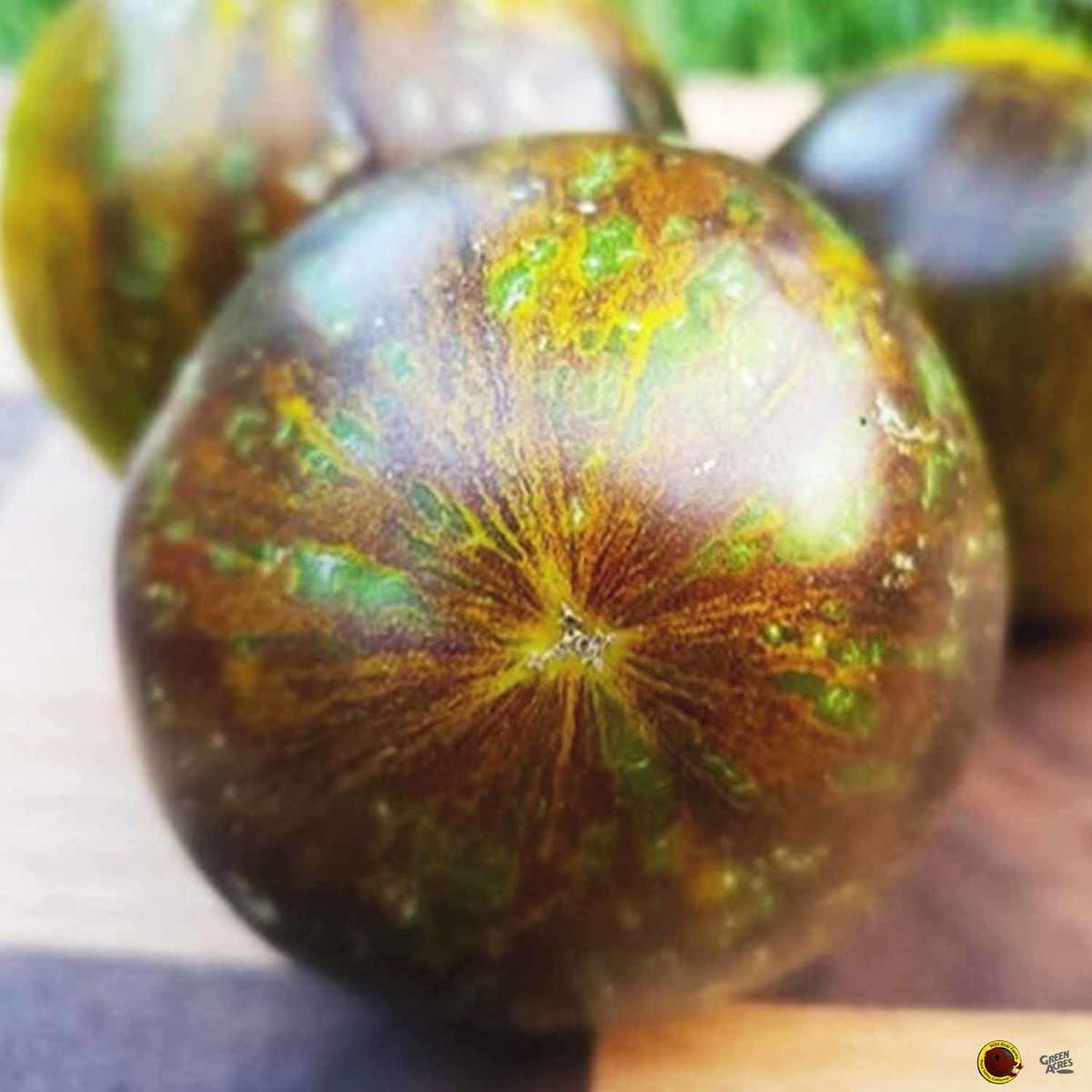 Wild Boar Farm Tomato 'Kryptonite'