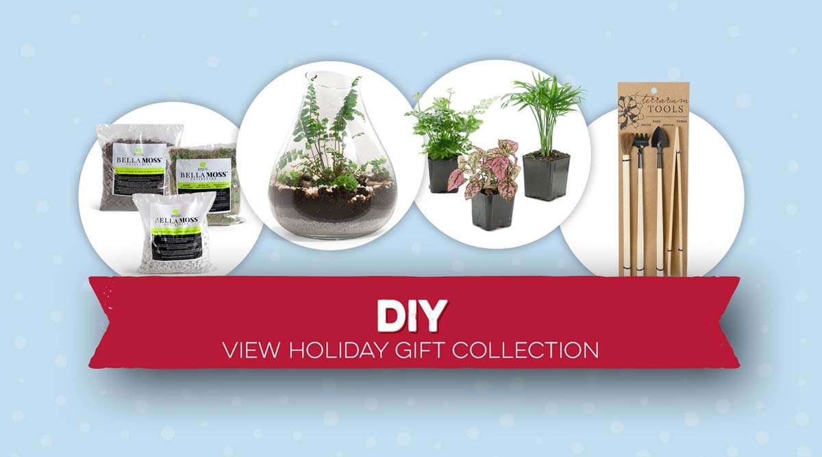DIY View Holiday Gift Collection