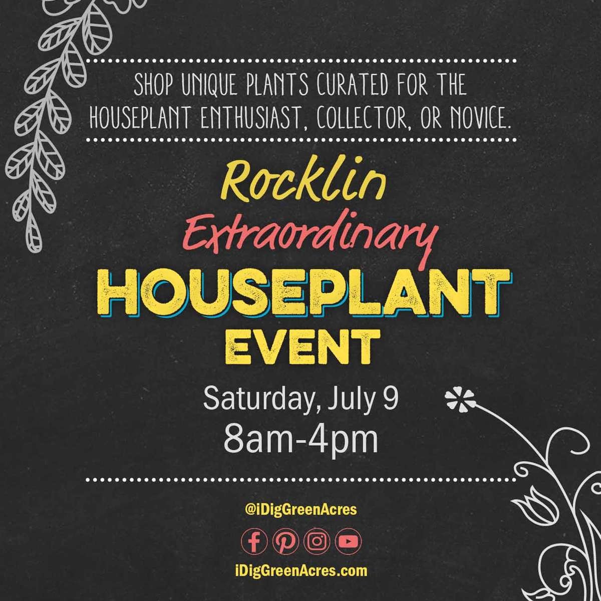 Rocklin Extraordinary Houseplant Event Saturday July 9 8am-4pm