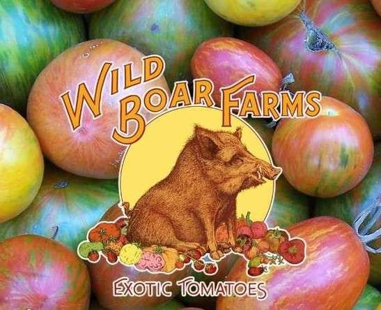 Wild Boar Exotic Tomatoes graphic