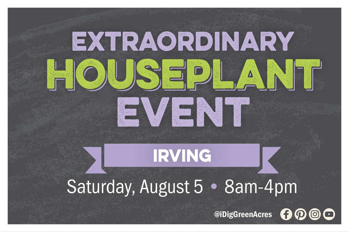 Extraordinary Houseplant Event , Irving, Saturday, June 29 from 8am - 4om