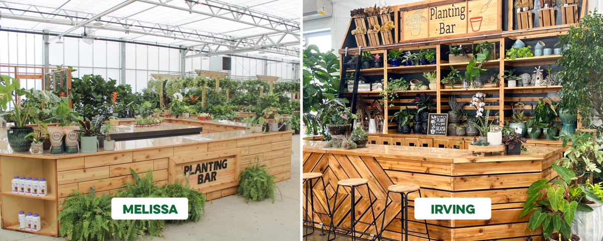 Green Acres Planting Bars. Available for custom pot ups at our Melissa and Irving location.