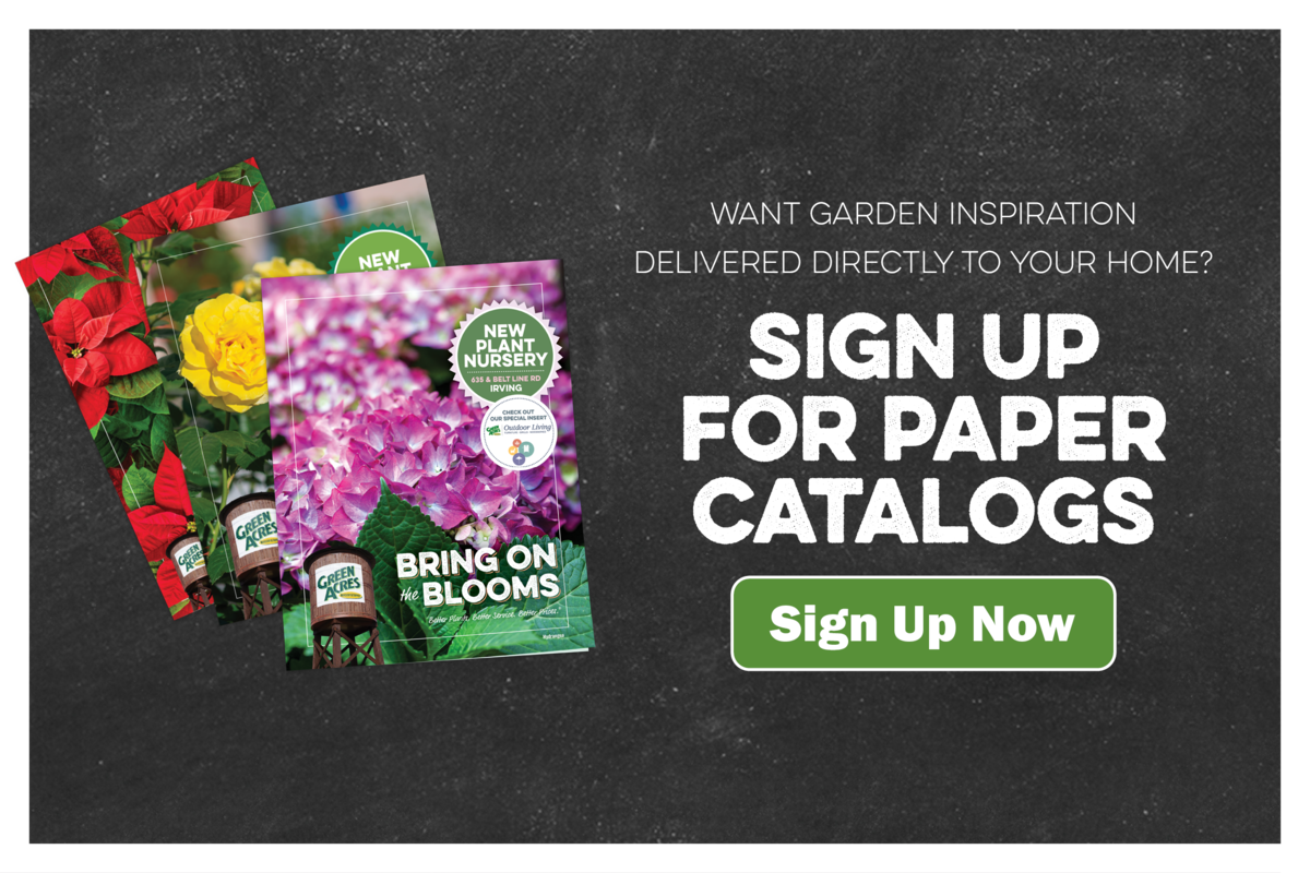 Want Garden inspiration delivered directly to your home? Sign up for paper catalogs.