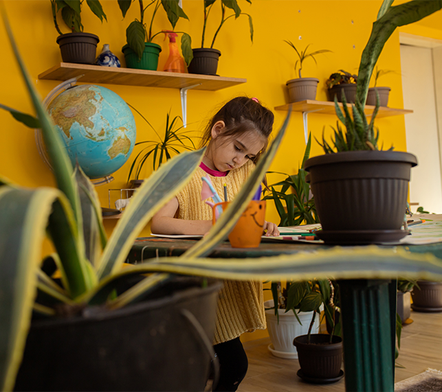 Student studying surrounded by houseplants