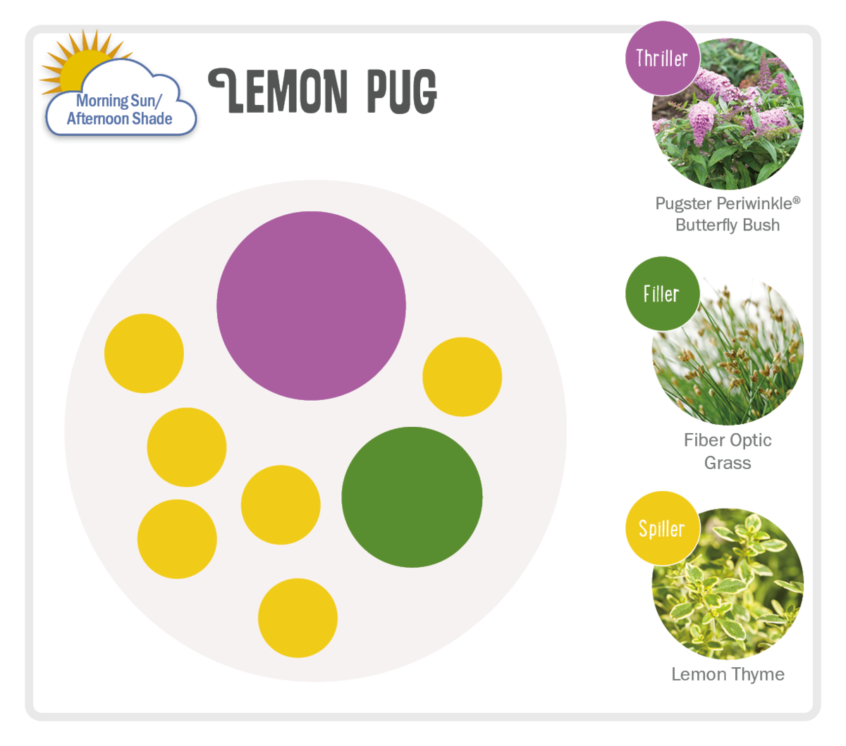 Image of Lemon Pug Pot-Up Recipe