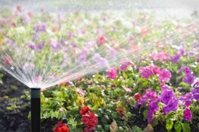 Traditional Sprinkler Head Watering Flowers