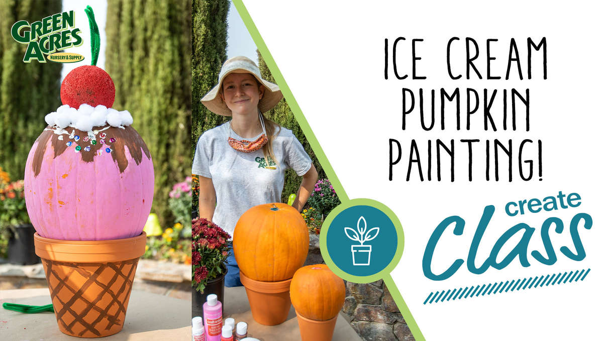 Ice Cream Pumpkin Painting